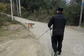 “汪汪队”立大功！八旬老人走失三天，民警携警犬两小时搜救成功图片