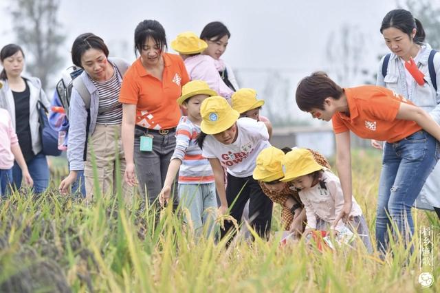 金秋十月去哪儿 万千气象成都行丨去田野里撒欢！3条线路请收好