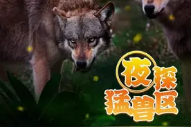 开启夜游，上海这些公园晚上也好玩图片