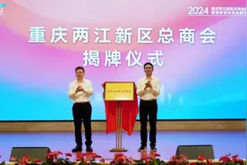 两江新区民营经济高质量发展大会举行图片