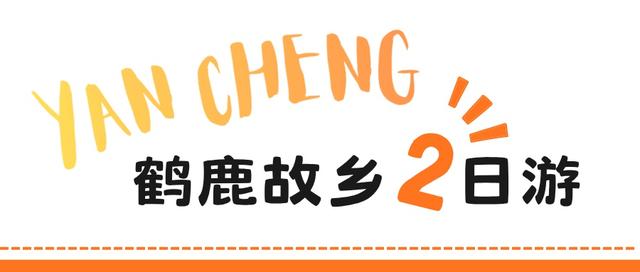 抓紧出发！错过就要等明年！