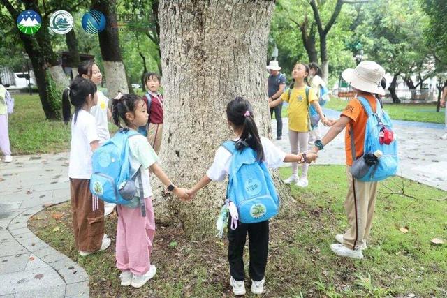 红树林、白海豚、非遗“鹤舞”，珠海这场自然教育藏着多少惊喜？
