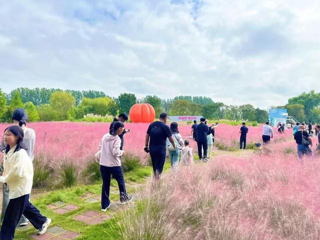 不比门票比体验！山东这波操作，让游客用脚投票