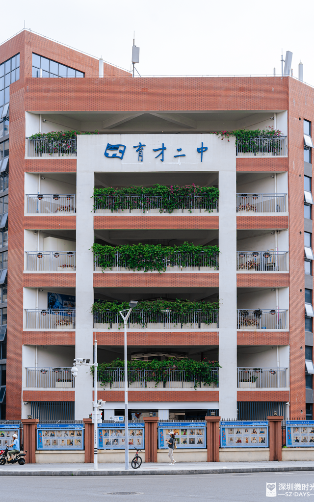 一条荔园路，多少蛇口人的前半生