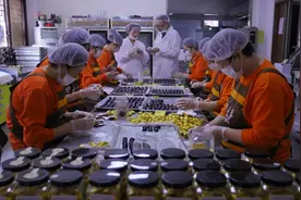 溯源文化威海 丨九蒸九晒黑芝麻丸，古老工艺的现代传承图片