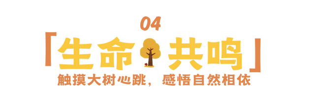 12.07 独立营｜冬日寻羽记：解码西湖候鸟的越冬密码！鸟类专家带队，探秘茅家埠“鸟类天堂”，体验听声辨鸟、飞羽寻踪的野趣周末！