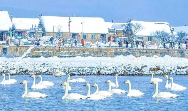 没有保持苹果肌扁平的义务，威海这个“雪窝子”太好玩了！