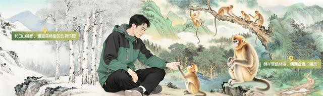 共赴青山之约