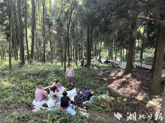 巴东：绿葱坡头风送爽 灯盏窝畔清凉长