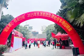 “就业暖心·桂在行动”2025 年资源县就业援助月活动举行图片