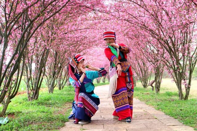 3月7日至8日，女性游客免门票游乃古石林风景区