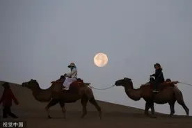 甘肃酒泉：明月悬挂沙漠上空 游客月下骑行骆驼图片