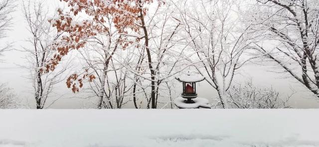 等一场雪，念一座城！敦化冬景如画