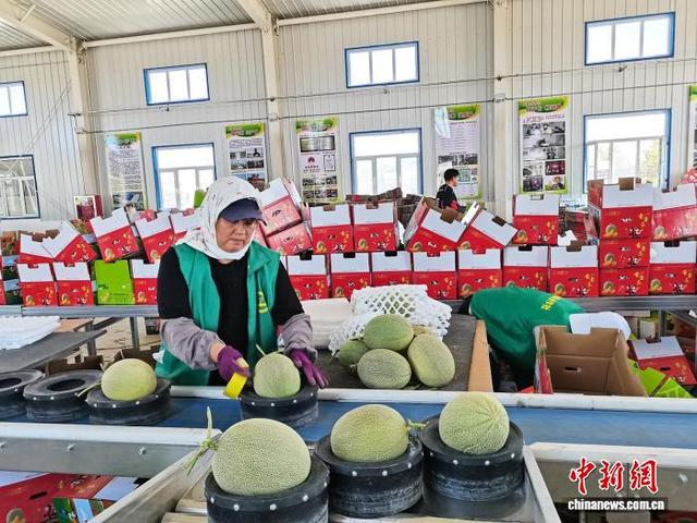 “中国甜瓜之乡”103团第十一届甜瓜文化旅游季举办