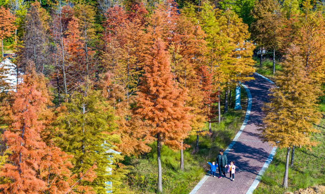 绝绝子！除了绝绝子，我还能怎么夸洛阳