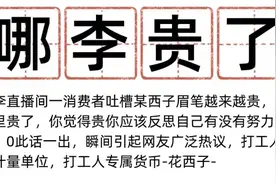 精英的傲慢：李佳琦的“车”翻在哪里？图片