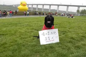 再见，珍妮……图片
