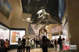 长镜头｜让博物馆更好融入百姓生活图片