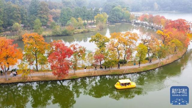 秋声渐杳 斑斓成诗