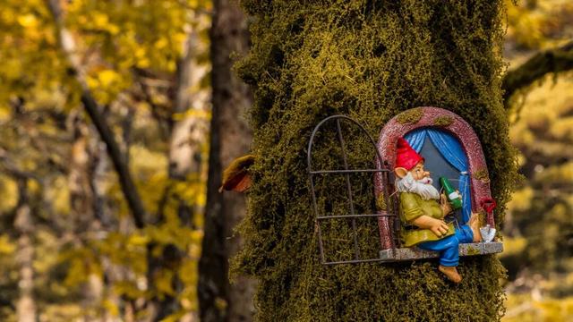 免门票福利！白云山绝美秋色正在上映→