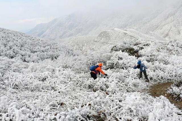多图直击融水雾凇美景