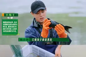 江苏卫视《种地吧2》十个勤天喜提第一桶蜂蜜 捕鱼捞虾好热闹！图片