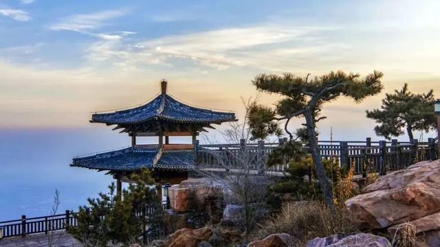 被圈“粉”！洛阳秋天的专属粉色浪漫藏在这些地方