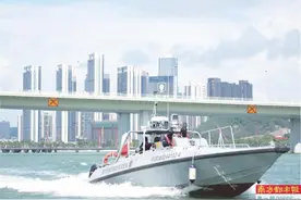 禁渔十载 深圳湾又见“大鱼腾跃”图片