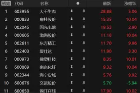 竞价看龙头图片