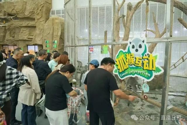 日照四大热点景区，上榜！