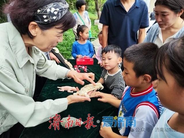 一年四季 泉在济南 | 来济南动物园，零距离“邂逅”大熊猫