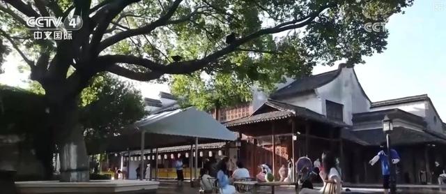 夏日花样消暑玩法“暑”实精彩 “避暑+文化+夜游”跨界联动多业态消费热力十足