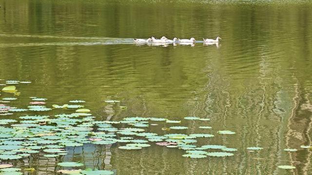 碧波荡漾 水景宜人
