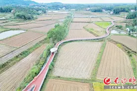 秋种油菜忙，静待来年“花田盛景”图片