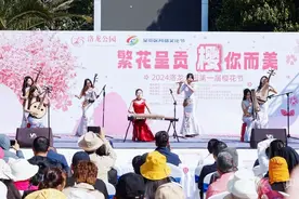 春城无处不飞花  昆明呈贡2025洛龙公园第二届樱花节将启幕图片