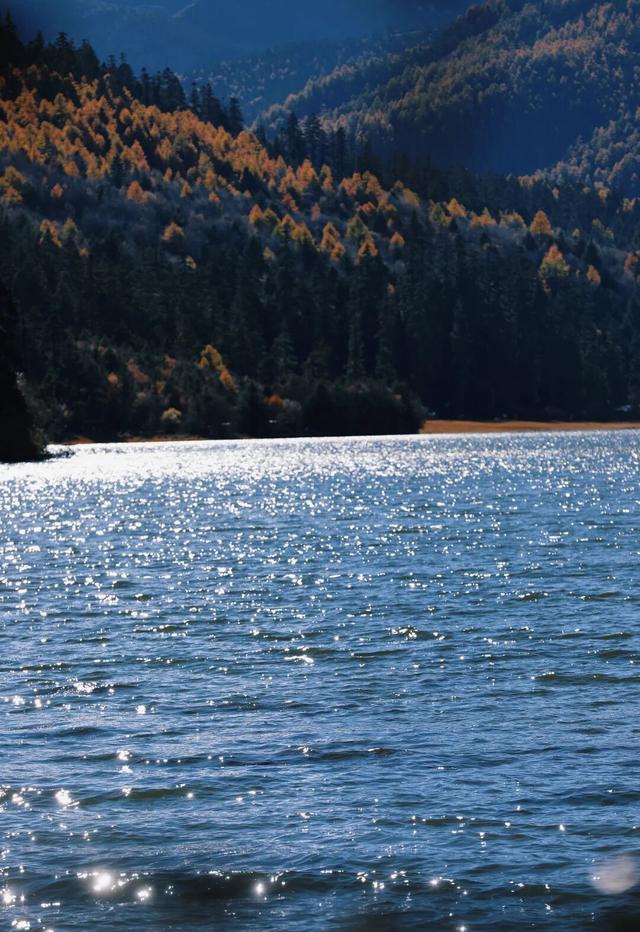 开通两周年！这趟民族风动车别错过！