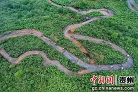 2024第八届“多彩贵州”自行车联赛（百里杜鹃站）开赛图片