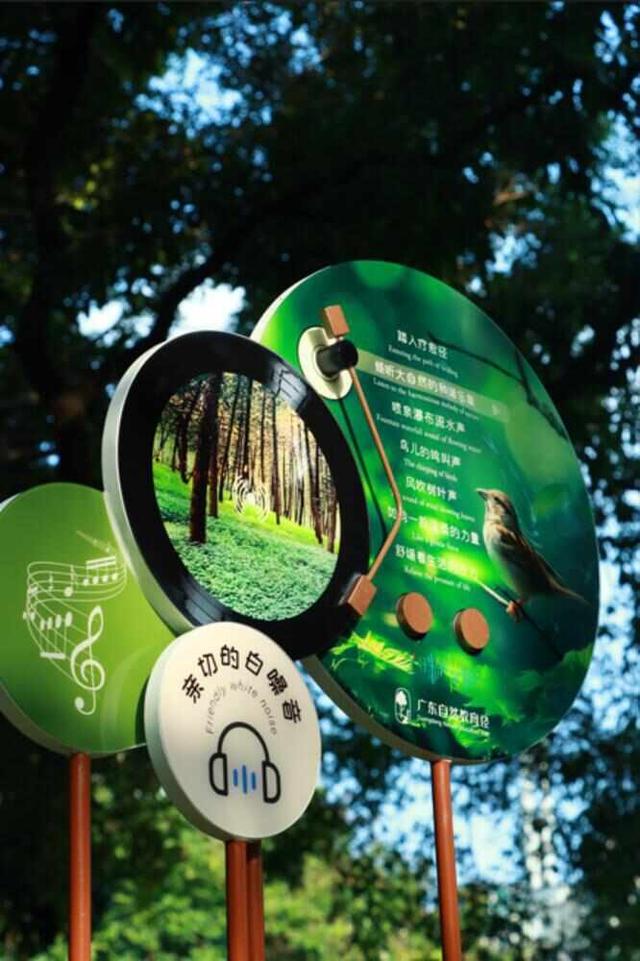 这封珠江公园的“绿色”家书中，藏着广州CBD的“四季画廊”｜信暖珠江④