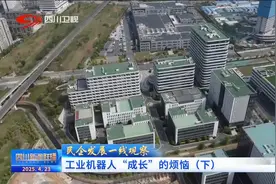 四川新闻联播丨工业机器人“成长”的烦恼（下）图片