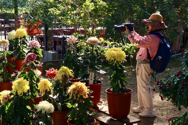 国家植物园“花”式迎国庆