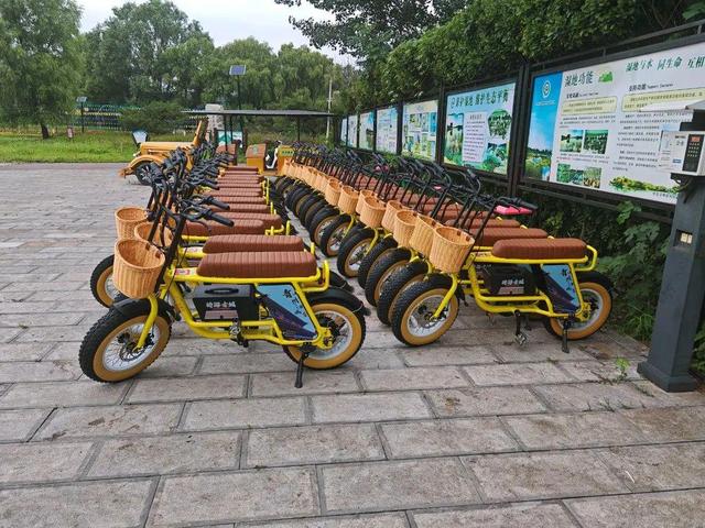 优化环境卫生 守护美丽河湖