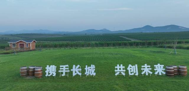 浪花声里说烟台 共绘仙境新图景