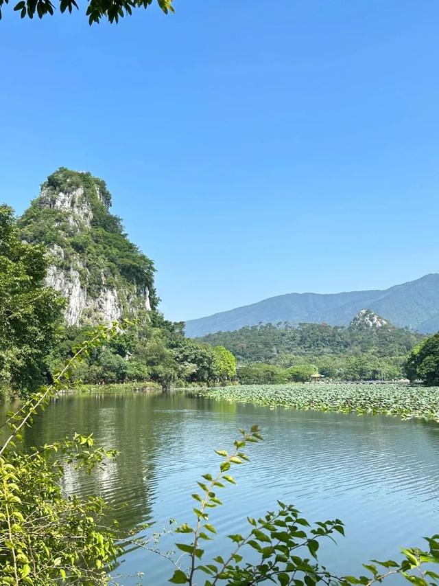 一湖清水、四大名山、小鸟天堂……肇庆这里，还是太全面了