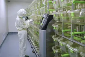中国代谢解析生物样本库向全球开放，呼吁更多人重视糖尿病图片