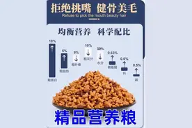 央视曝光低价宠物粮乱象，杭州兽医：几乎每天都收治吃坏肚子的“毛孩子”图片