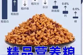 央视曝光低价宠物粮乱象，杭州兽医：几乎每天都收治吃坏肚子的“毛孩子”图片