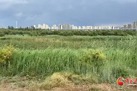 【2023重走中国西北角】兰州新区：引“水”发力 万亩荒地变良田图片