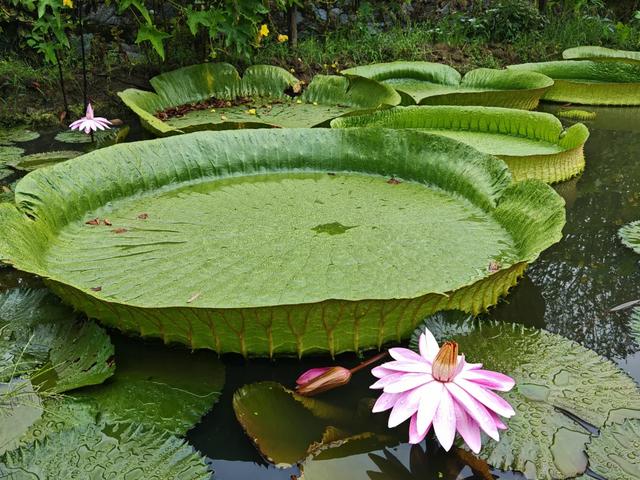 这座曾有“小南京”之称的千年古村，竟然是醴陵陶瓷的源头