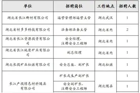 湖北这些单位正在招人图片