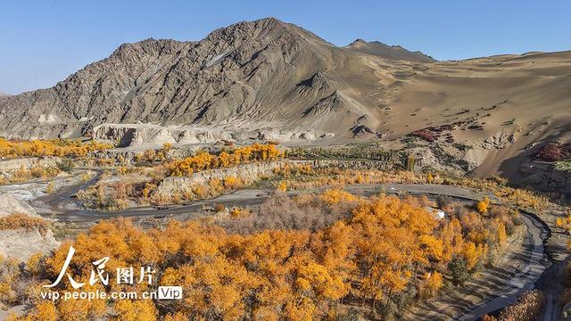 胡杨峡景区秋景如画